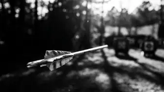 Unlock Pro Tips for Mastering Shooting Archery header