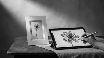 Photoroom: L'IA qui Réinvente l'Édition Photo header