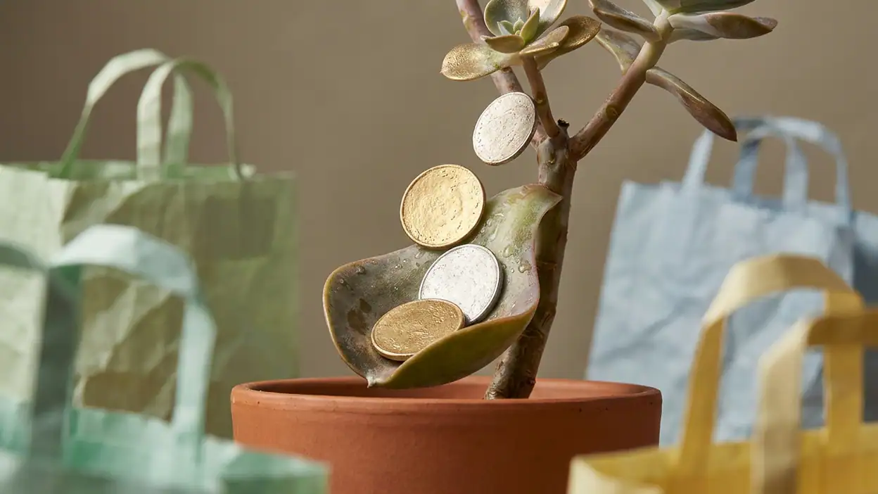 למה Méliuz: Cashback e Nota Fiscal היא הבחירה החכמה לקניות header