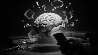 QuizzLand：最新OSで進化した雑学クイズの魅力 header