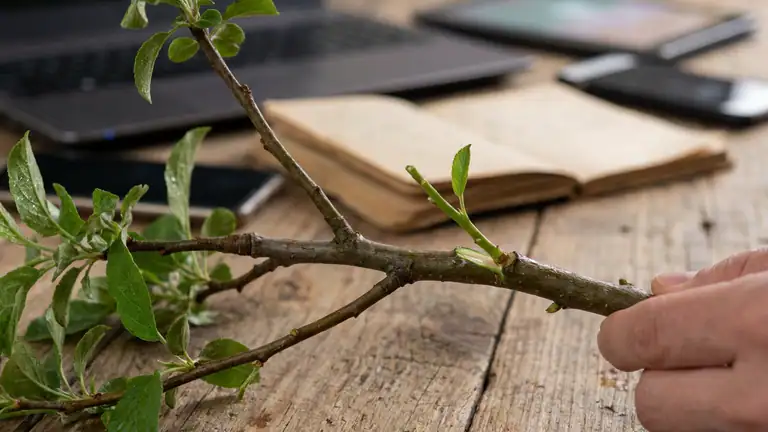 Contacten wordt de stille spil van Android en iOS header